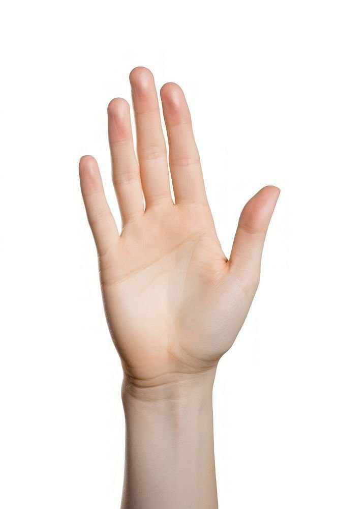 Palm